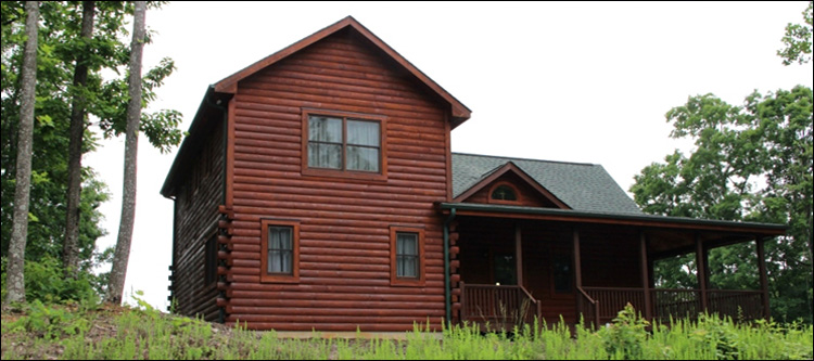 Professional Log Home Borate Application  Warren County, Virginia